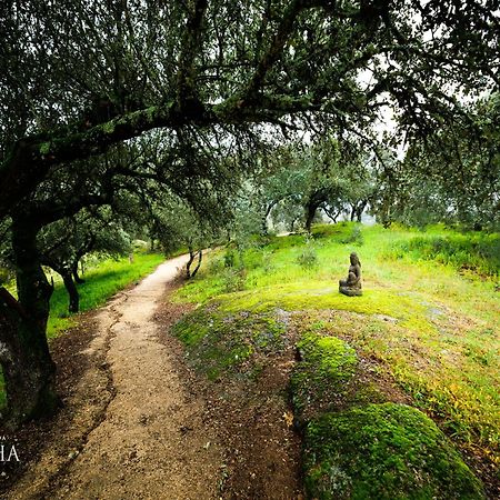 Herdade Da Rocha - Boutique Lodge Crato Exterior photo