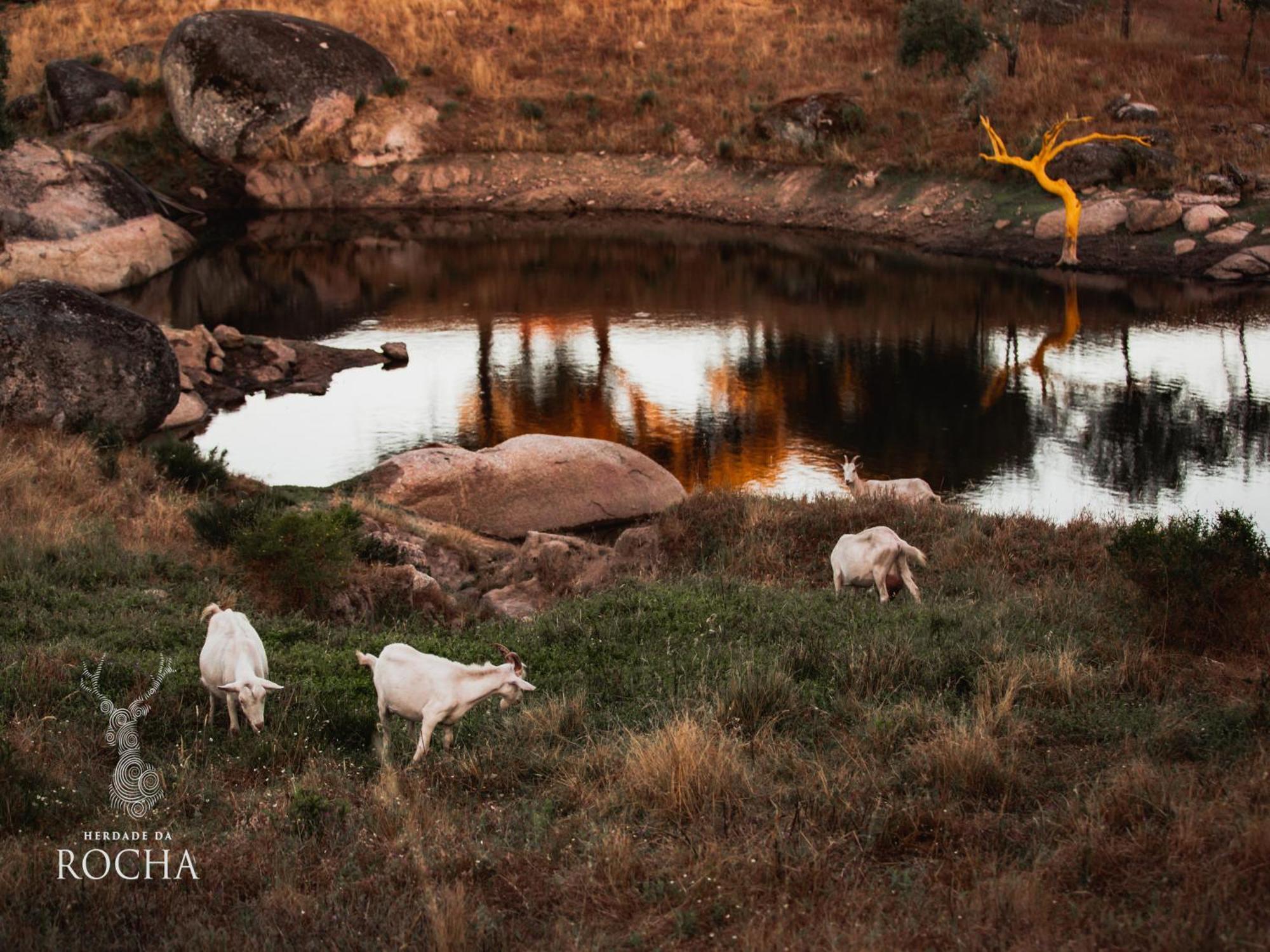 Herdade Da Rocha - Boutique Lodge Crato Exterior photo